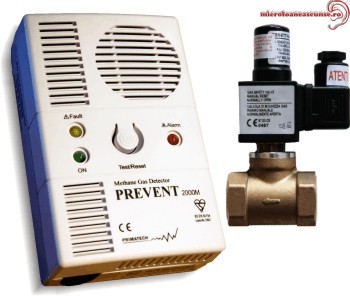 DGCSW58PROF58 Camera spionaj wireless 5.8 Ghz in detector de gaz